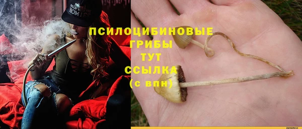 PSILOCYBIN Богданович