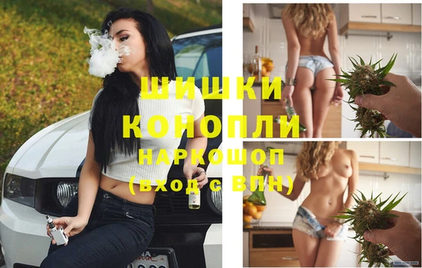 PSILOCYBIN Богданович