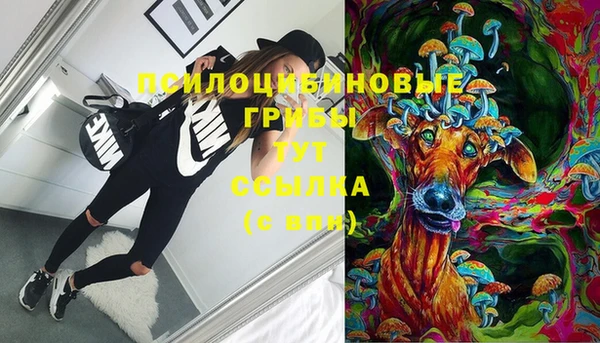 соль курить ск Богородицк