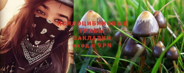 PSILOCYBIN Богданович