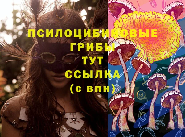 соль курить ск Богородицк