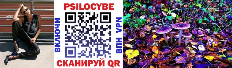 мориарти Telegram  mega как войти  Лукоянов  цена   Галлюциногенные грибы Psilocybe 